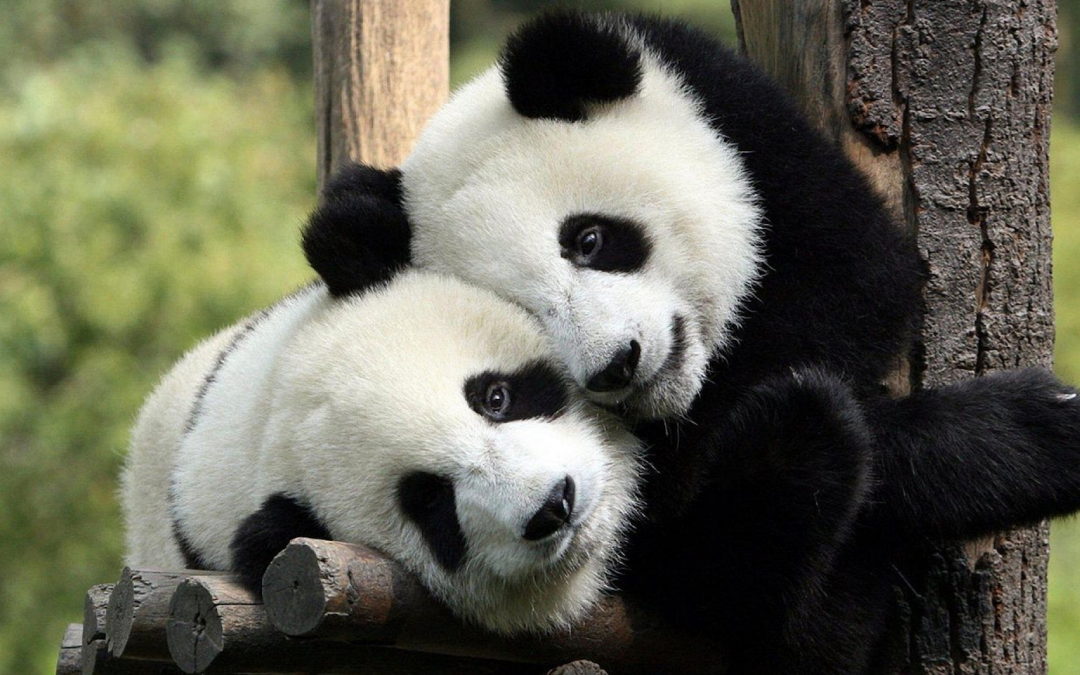 How to “Hug” Your Clients​