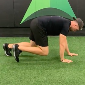 Bear Crawl Fwd + Bkw